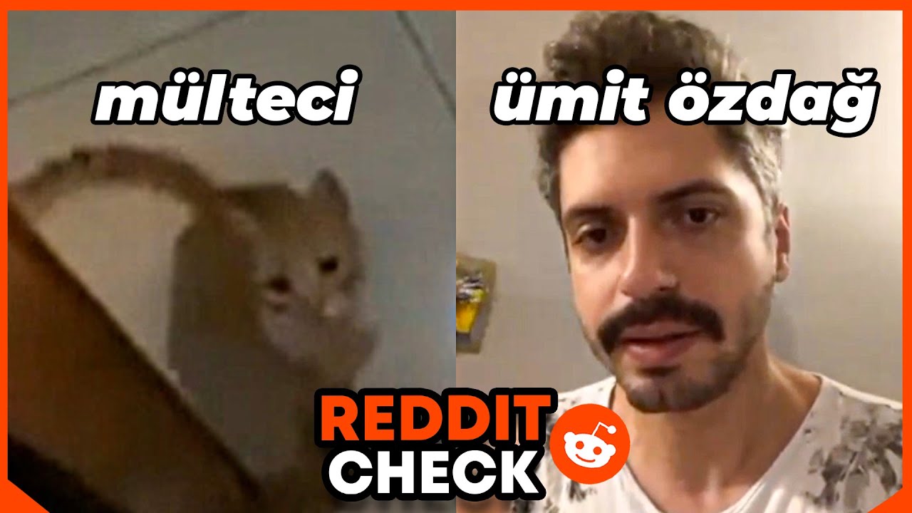 Reddit Talked Into It