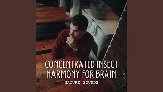 Concentrated Insect Concentration