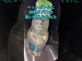 パチンコ店でありえない嫌がらせされました　絶対許さん！#パチンコ #shorts #嫌がらせ