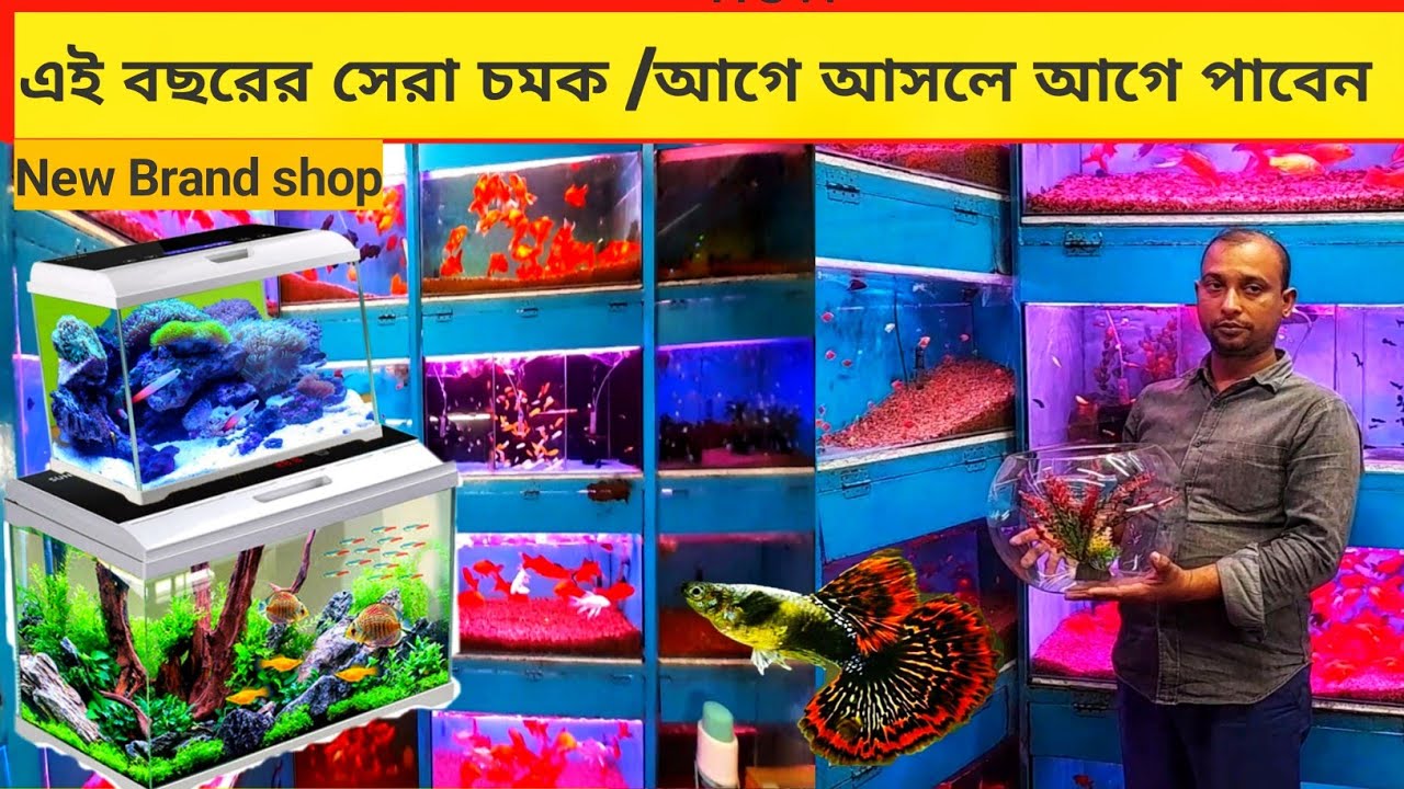 aquarium fish price in Bangladesh,🐟fish price in bd 🐟aquarium fish