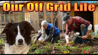 Spring Time Harmony At Our OFF GRID HOMESTEAD.  A Backwoods Living Vlog #150