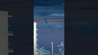 Aquatic Life In The Waters Above Plus An Anomalous Cloud, Negative Version For Ease Of Viewing