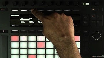 Push 2 101: Explained and Explored - 10. Note Mode  Scale Modes