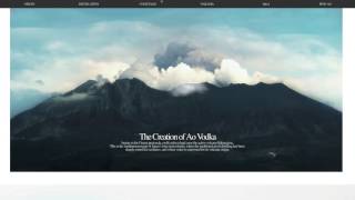AO Vodka Web design Resimi