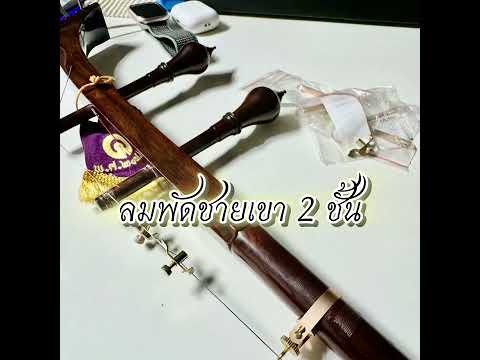 ลมพัดชายเขา 2 ชั้น | เดี่ยวซอด้วง