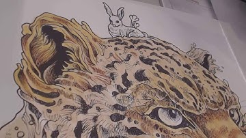 Imagimorphia - How I Color Part3