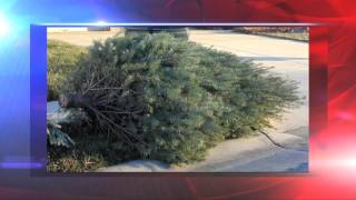 Rcycle Your Christmas Trees in Montgomery County