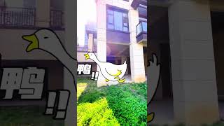 阅山湖公园两栋双拼别墅可以改独栋别墅，一栋建筑面积约226平米，上下花园约五六百平米好房推荐 带你看房 现场实拍 高性价比好房 今日优质房源实景拍摄 @DOU 小助手 @DOU 上热门 @抖音新地产