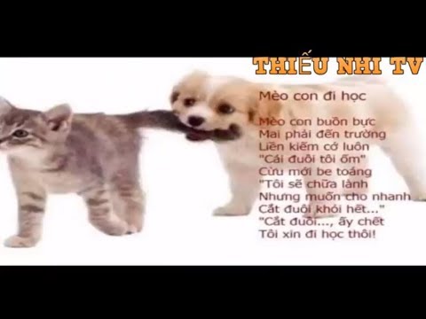 Video Bài thơ mèo con đi học - Bai tho meo con di hoc -... - youtube
