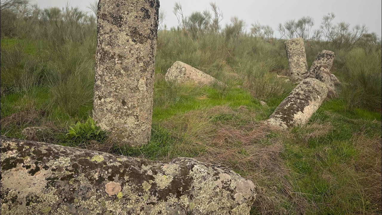 Vía de la Plata. Etapa 13. Casar de Cáceres - Cañaveral. 34 km. 4-03-26