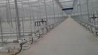 Thecannalysts - Aphria Double Diamond - Nov 2018