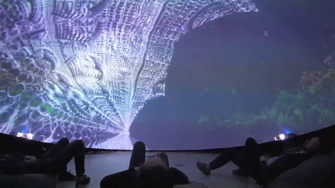 Rose of the World. Shrastrs and Witzraors