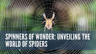 Spinners Of Wonders : Unveiling The World Of Spiders