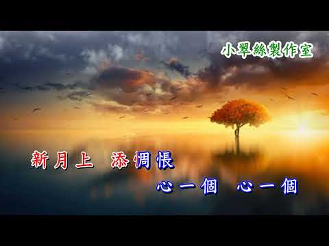 雙星恨【藝海情鴛】張慧主唱