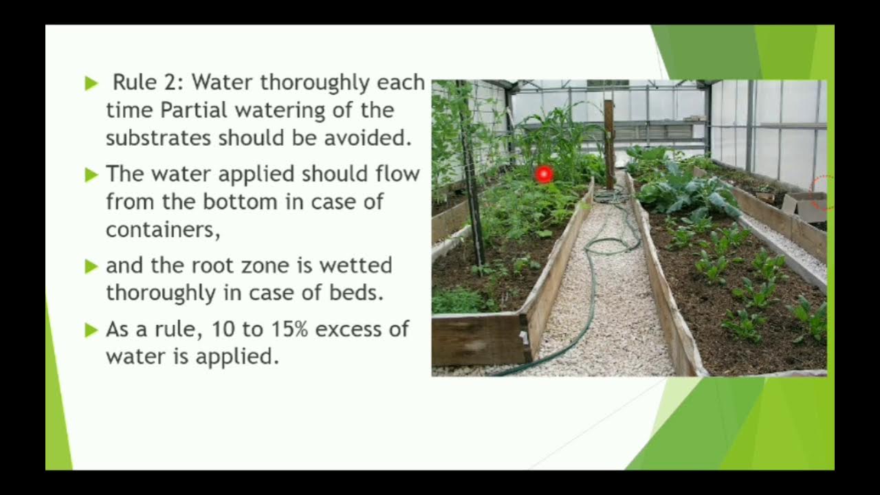 Rules of Watering and Methods of irrigation used in Greenhouse, Engg