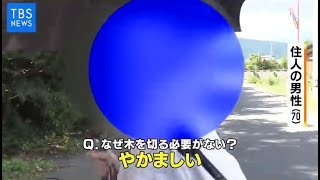 “逆走を招く”木々 ついに伐採【Nスタ】