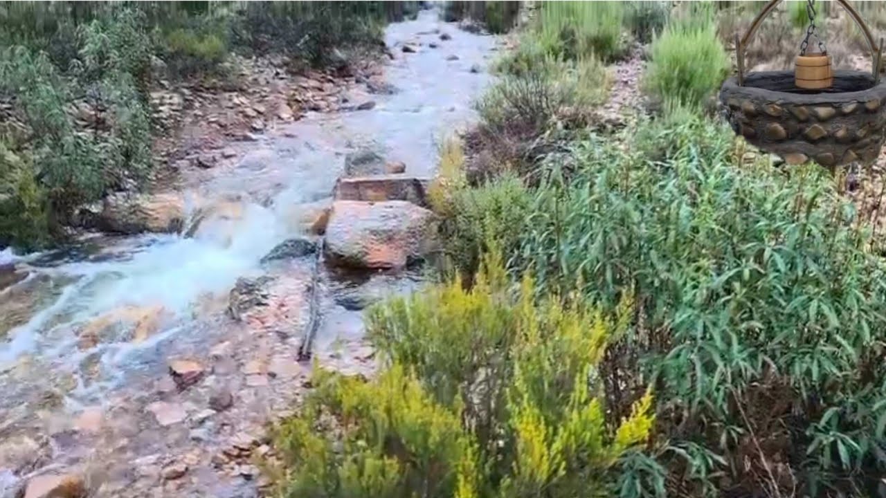 اجوا الطبيعة 🌿بعد أمطار 🌧الخير اللهم صيبا نافعا 