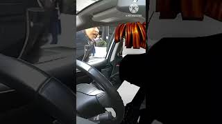 Beacon Dance Untouchable