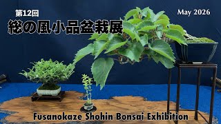 第12回 総の風小品盆栽展／The 12th Fusanokaze Shohin Bonsai
