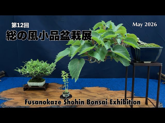 第12回 総の風小品盆栽展／The 12th Fusanokaze Shohin Bonsai