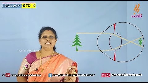 KITE Palakkad STD 10 Biology Chapter 2 Episode 7 (First bell Tamil medium - பஸ்ட் பெல்)