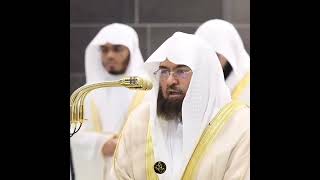 beautiful quran reaction 💞💝#quran #deepsleep #rahman