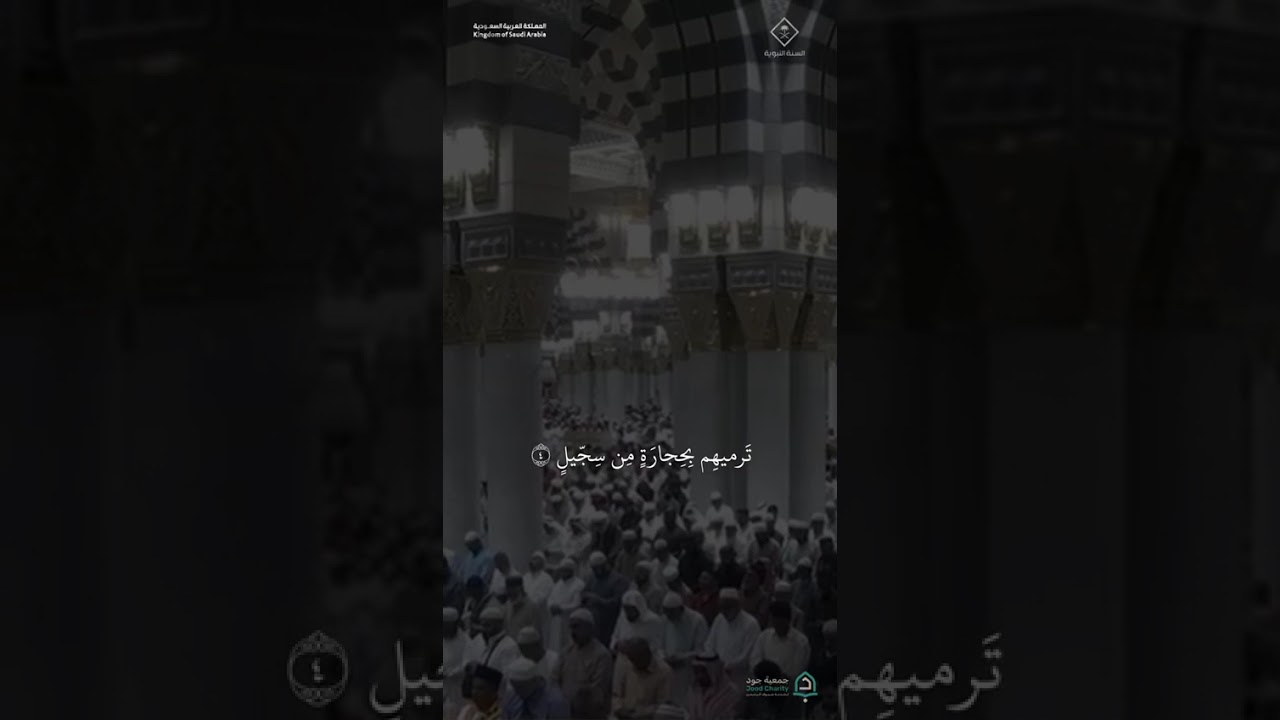 مقتطف من تلاوة فضيلة الشيخ #خالد_المهنا من صلاة المغرب 18 شوال 1447هـ#المسجد_النبوي