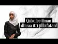 Qabxilee Ilman Dhiraa Itti Jillbifatan Qabxilee Ilman Dhiraa Itti Jillbifatan