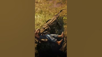 How To Get RICH In Red Dead Online 💰 💵 🐊