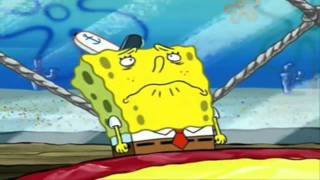 Celebrity Soiled It Net Worth