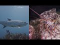 Investing in America: NOAA's Science, Service and Stewardship in Action