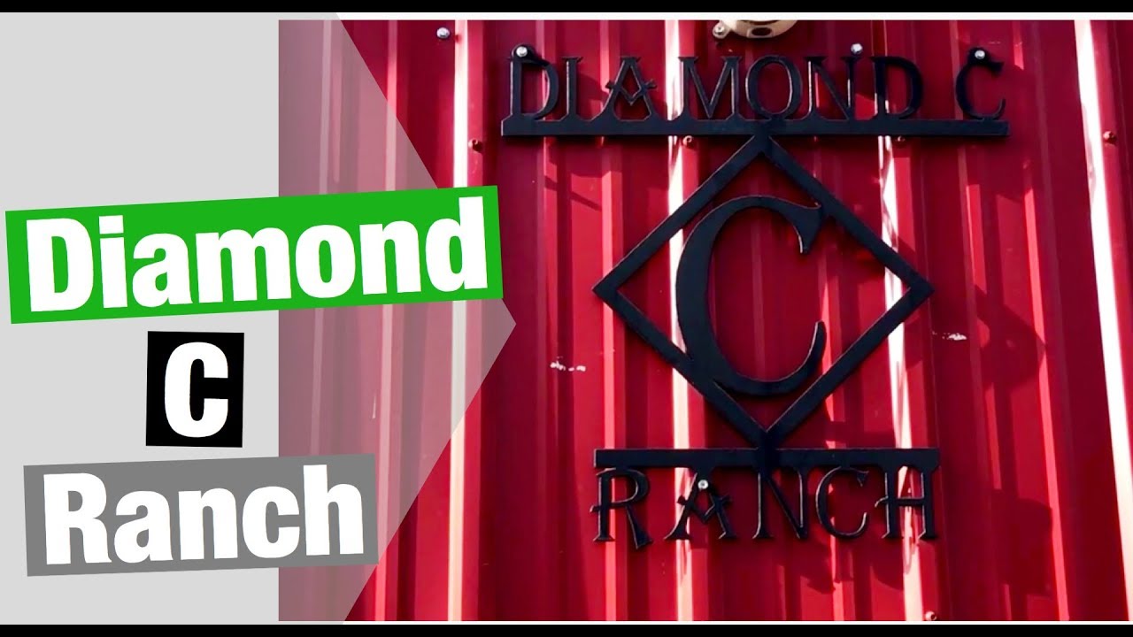 Visit to the Diamond C Ranch and their Quail farm YouTube