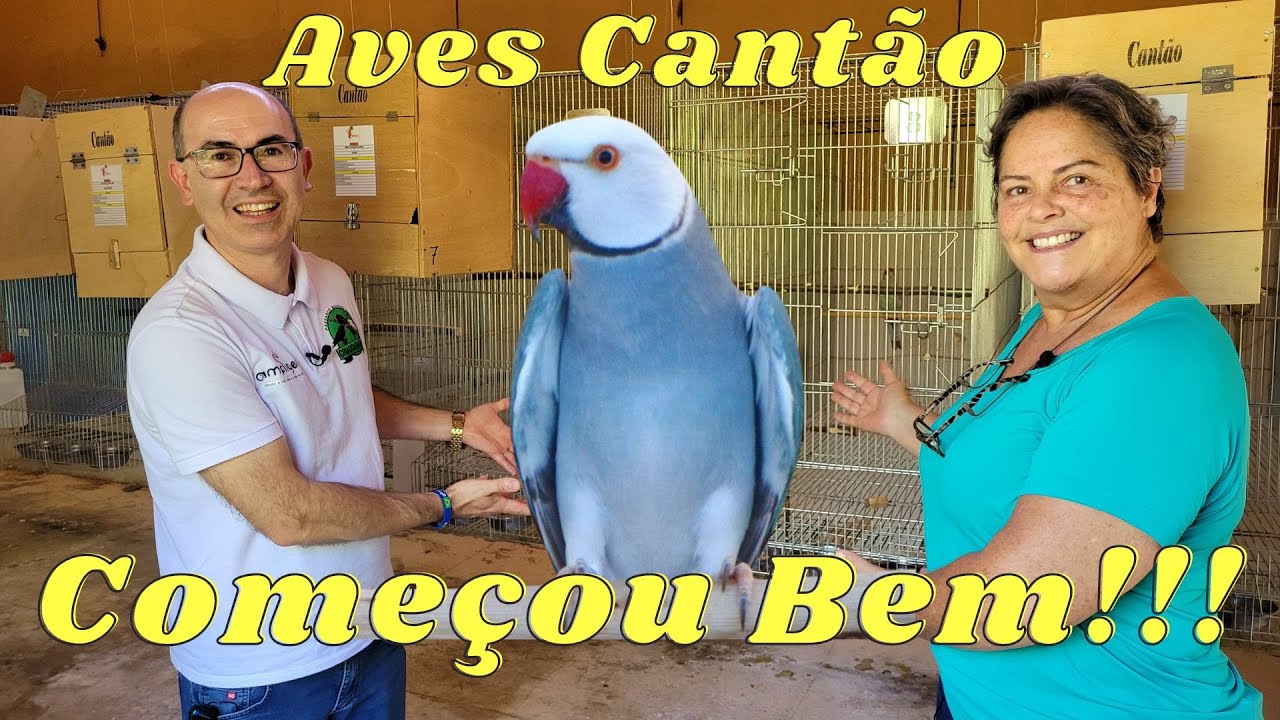 MULHER CRIANDO RING NECK LILIANE BRESCIA DE MIRANDA DE MINAS GERAIS!!!