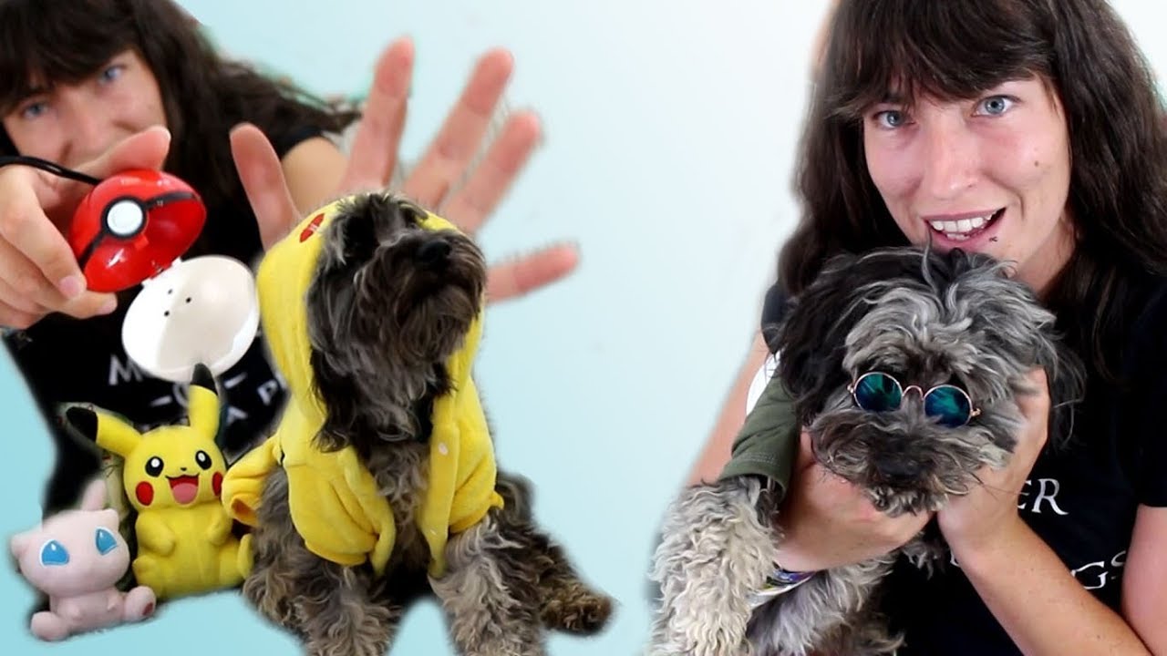 Testing More Weird Pet Products | Wish Haul | Tracking My Dog?