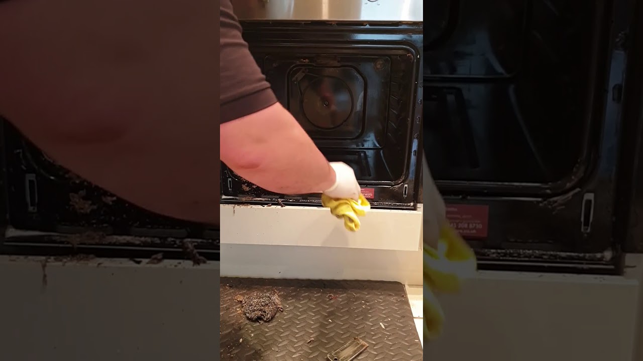 Oven Cleaning Business Course - cleaning the oven cavity