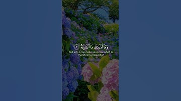 سورة القارعة كاملة❤️🌷 #قران_كريم #اكسبلور #المصحف #لايك