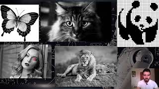 6- images Representation (CNN)