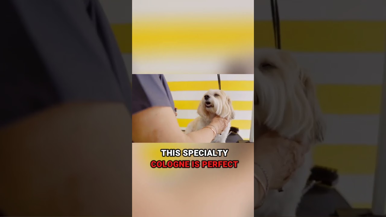 Transform Your Pet's Scent with Double K Groomers Edge Unleashed Cologne Spray | 8 oz Review