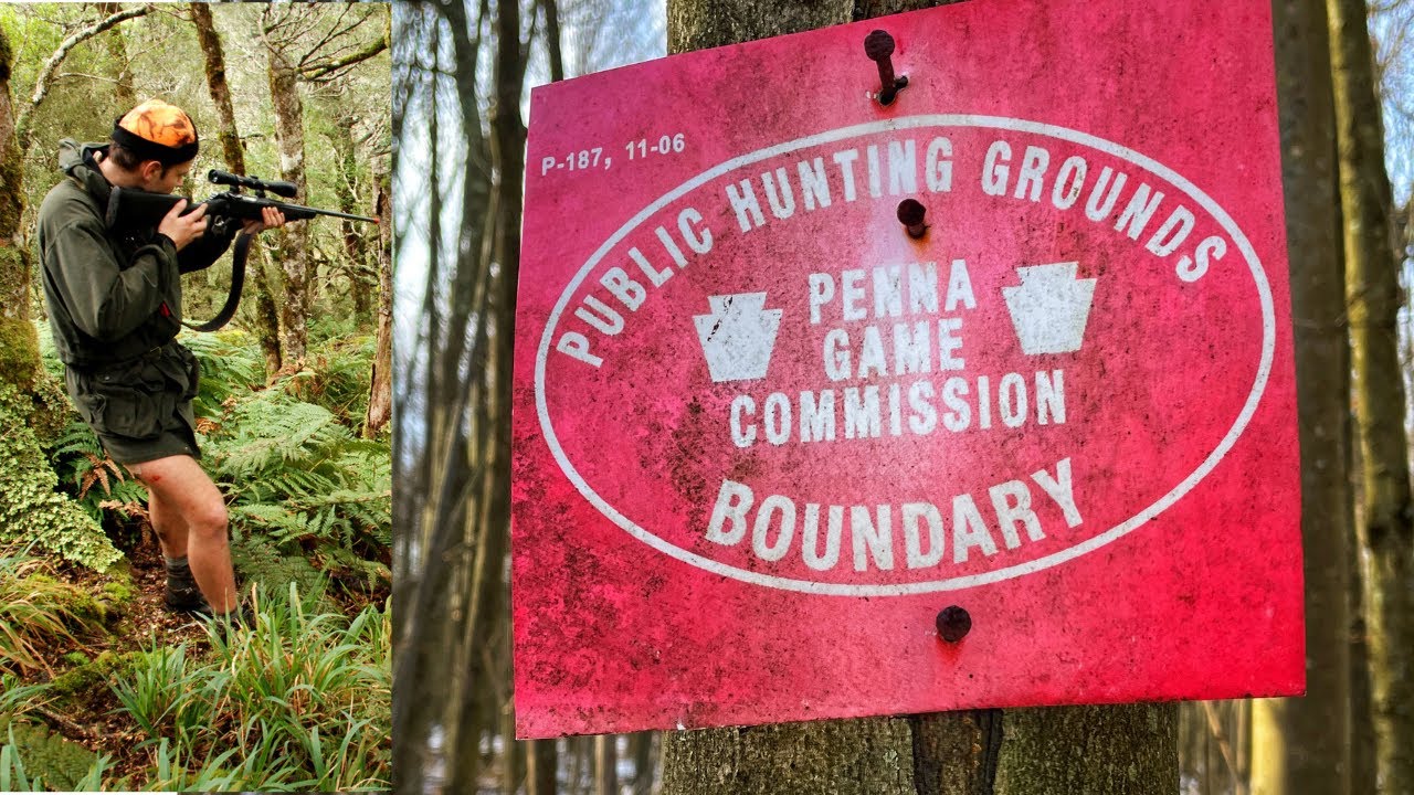 FIRST Public Land Hunt! Hunting Public in Pennsylvania YouTube
