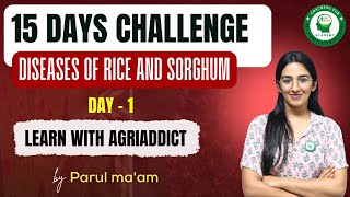 Diseases of Rice and Sorghum and Day 1 of 15 Days Challenge with Parul Ma'am