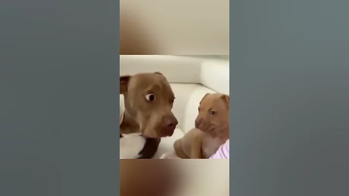 When YOU Are The FATHER 🤣 | Wholesome Moments - DayDayNews