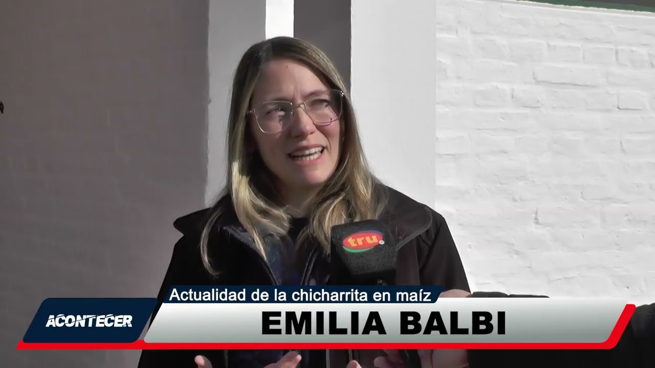 Situación de la chicharrita en maíz en la campaña actual. Más detalles