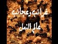 غرائب وعجائب عالم النمل Странные муравьи Strange Ants 奇怪的螞蟻 