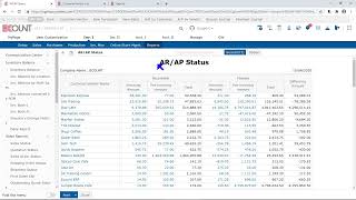 [ECOUNT Practice] Inventory I - Reports - AR / AP Status