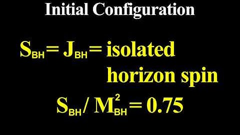 Evolution w/ Tilted B-Fields: Initial Configuration (Black Hole-Neutron Star Mergers: Part I)