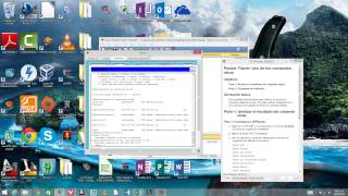 11 3 3 4 Packet Tracer Using Show Commands 11 3 3 4 Packet Tracer Using Show Commands