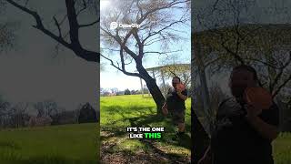 Disc Golf  Hunt  Missing MVP Quest! at hole 17 HO #discgolf #frisbeegolf #shorts #subscribe RMD