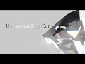 Cut diamond education