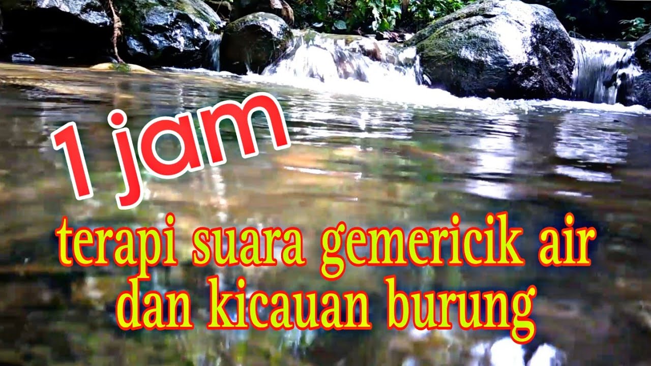 1 jam suara gemericik air dan kicauan burung, terapi burung stres macet bunyi