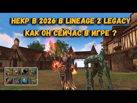 НЕКР в 2026 с шмотом на 200 000 руб в КЛАССИЧЕСКОЙ Lineage 2 Legacy - ЧТО С НИМ СТАЛО ?